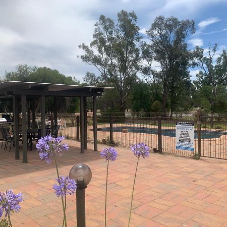 Newell Motor Inn Narrandera Exterior photo